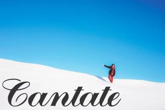 Cantate: An Expressive Script Typeface for Digital Branding