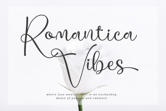 Romantica Vibes: A Script Font for a Cohesive Brand