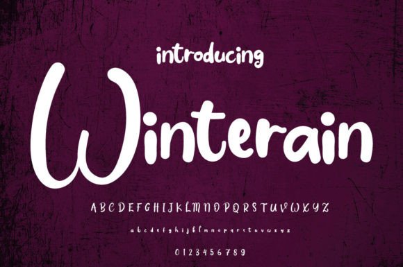 Winterain: A Designer's Practical Review of a Charming Script